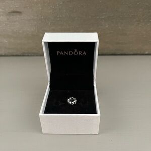 Pandora Silver Spacer Charm